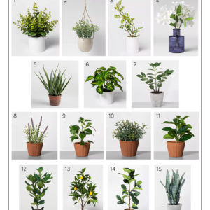 Katies Bliss Affordable Faux Plants