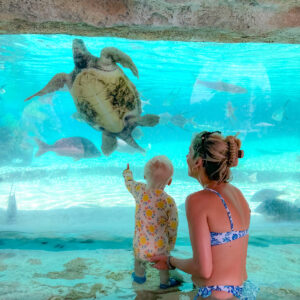 Rosewood Baha Mar Review