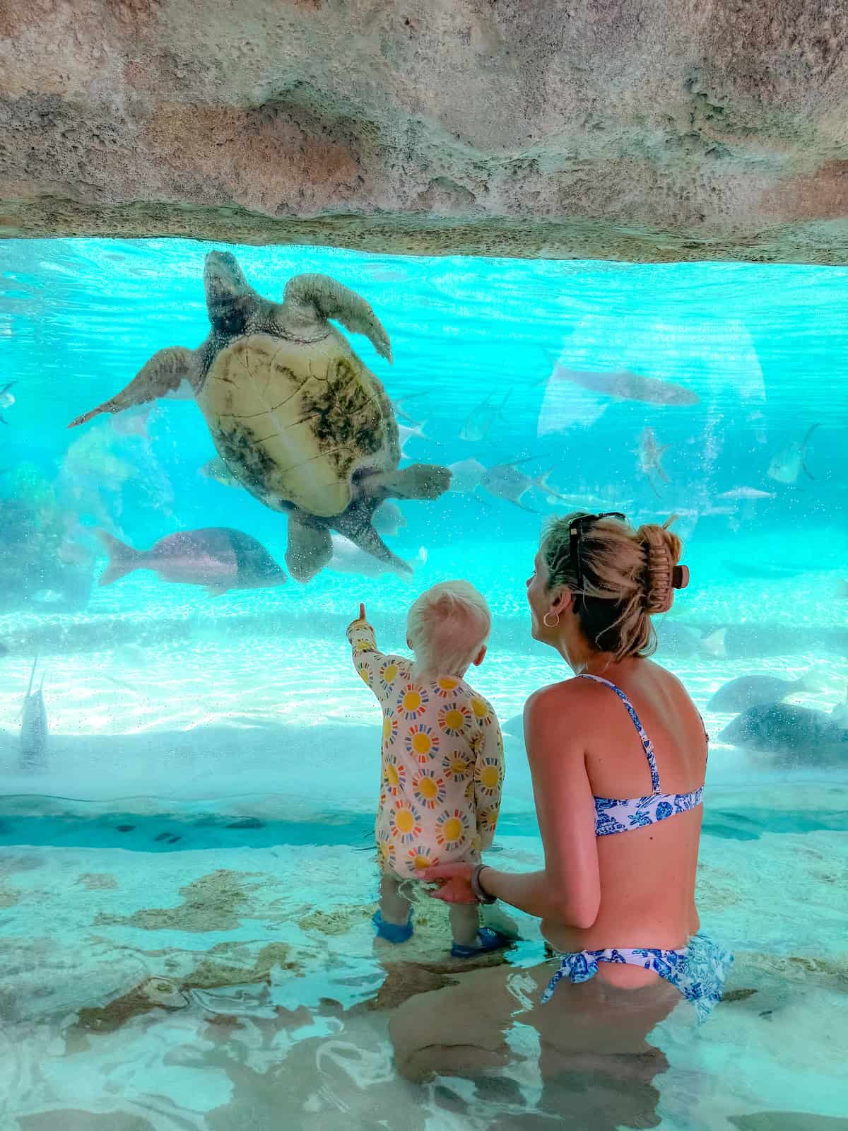 Rosewood Baha Mar Review