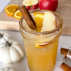 Spiced Apple Cider Punch Recipe